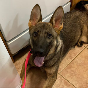 Meet your Posher, Brittany